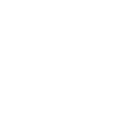 cat-2-white